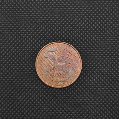 Brasil 5 Centavos 2004, 1.25, Coins of Brazil