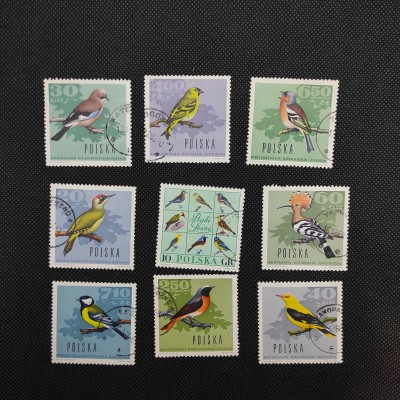 Stamps of Poland, 1966, Forest Birds